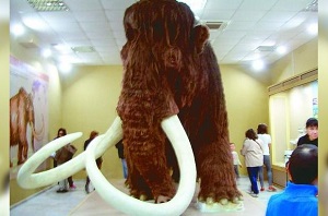 Mamut1