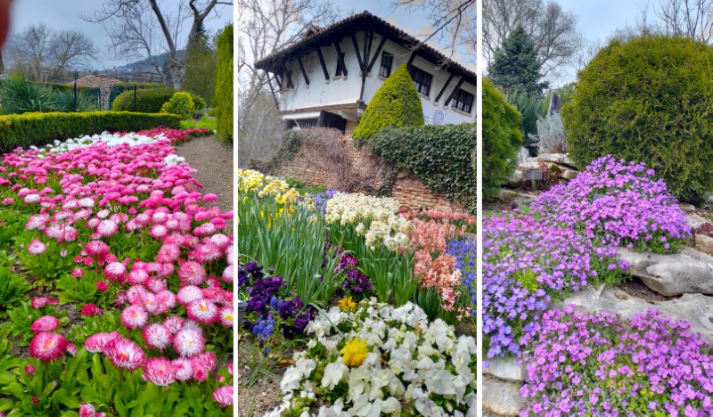 Dvoreca 2025 final 1