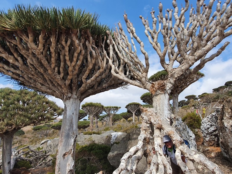 ABUJET Manya Arabski istorii 7