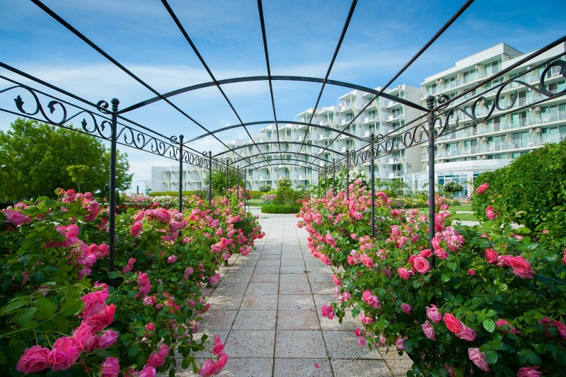 Albena 2026 Laguna 2 Custom