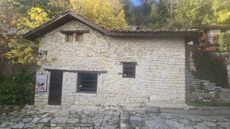 Dvoreca 2025 proekt Shivalnya 1 Custom