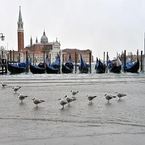 venezia.otpr